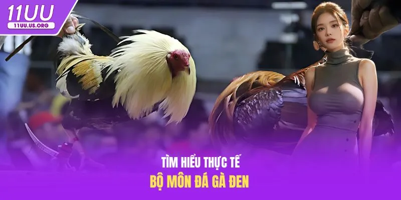 Tìm hiểu thực tế bộ môn đá gà đen