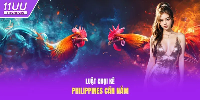 Luật chọi kê Philippines cần nắm
