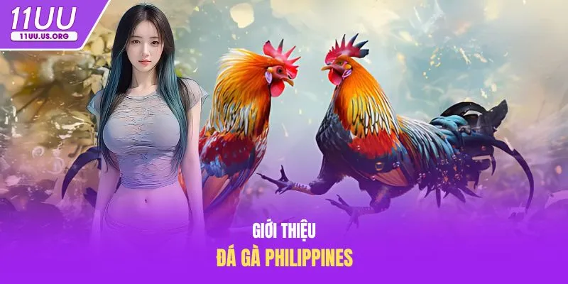 Giới thiệu đá gà Philippines