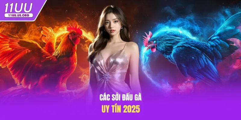 Các sới đấu gà uy tín 2025